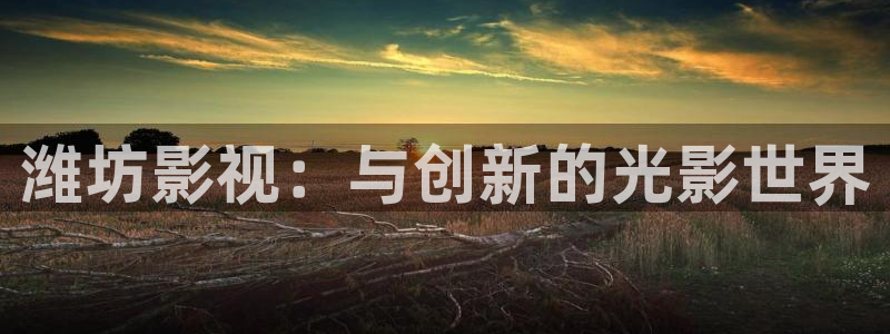 小河马视频大全：潍坊影视：与创新的光影世界