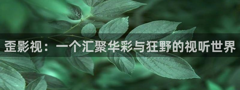 河马视频介绍：歪影视：一个汇聚华彩与狂野的视听世界