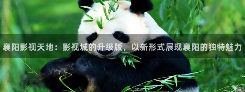 河马影视免费观看：襄阳影视天地：影视城的升级版，以新形式展现襄阳的独特魅力