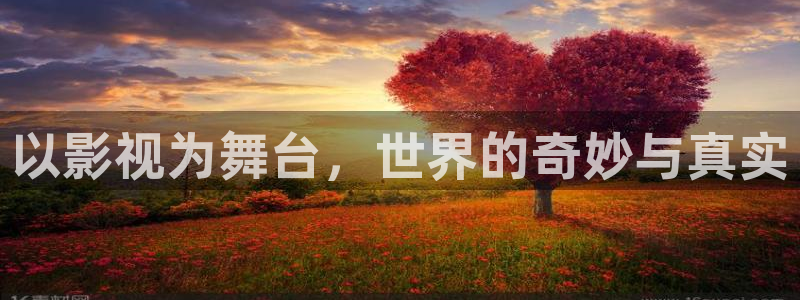 大河马视频：以影视为舞台，世界的奇妙与真实