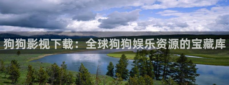 河马视频影视app：狗狗影视下载：全球狗狗娱乐资源的宝藏库