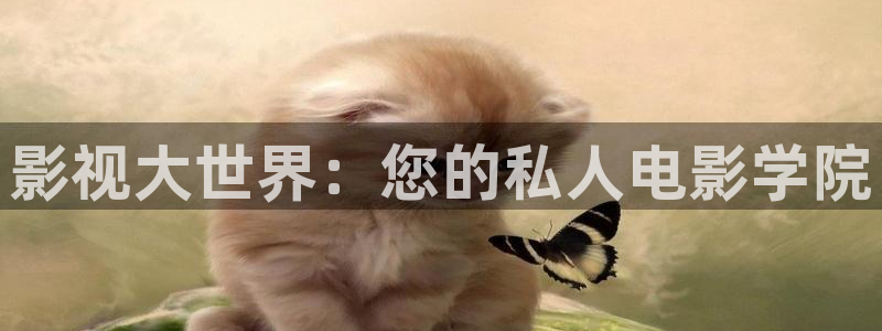 河马视频去广告版：影视大世界：您的私人电影学院